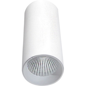 Точечный светильник Rollo DL18895R30W1W