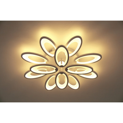 Потолочная люстра  10238/12LED